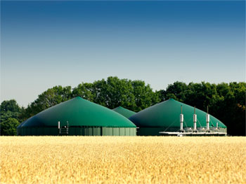 Biogas power plant